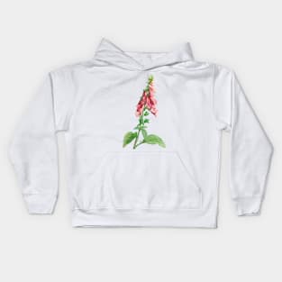 Common foxglove - Botanical Illustration Kids Hoodie